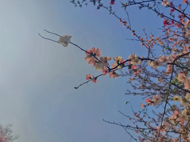 微信图片_20220309114933.jpg