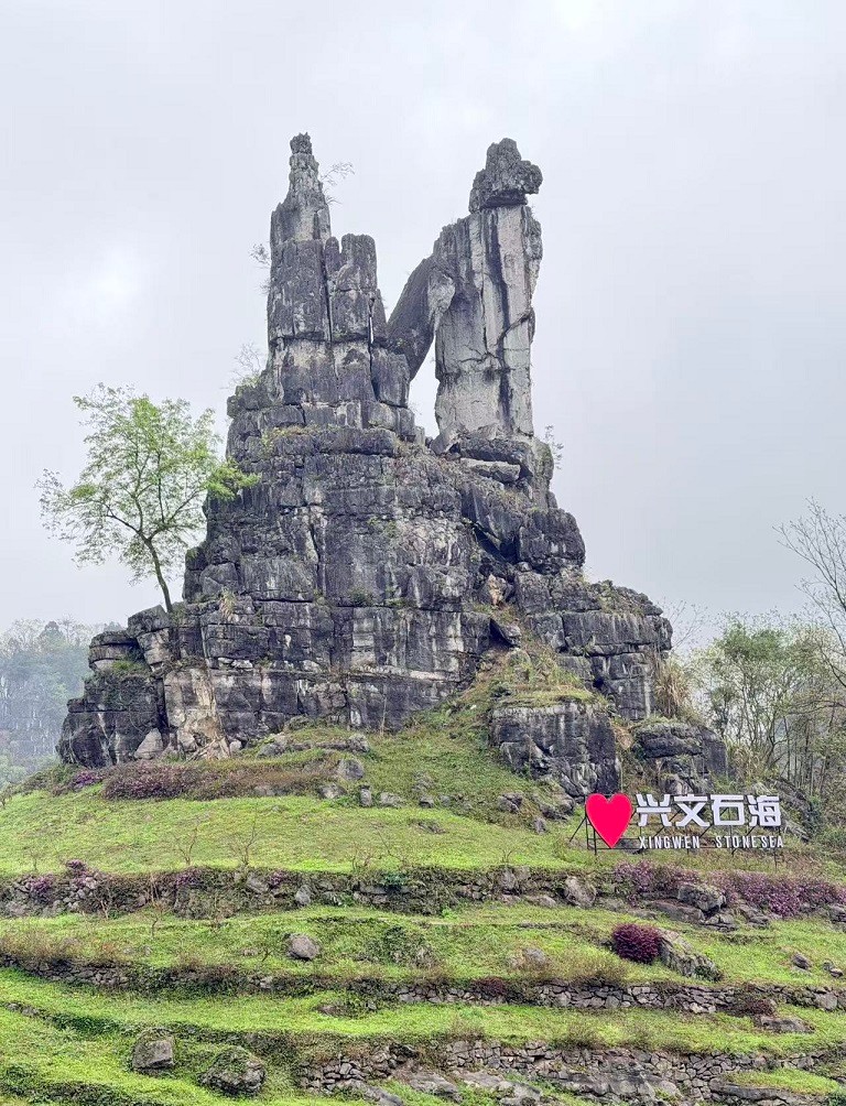 1773630122183401.jpg 4892c1cc98ea3f5e03ab8b44edc5b315.jpg